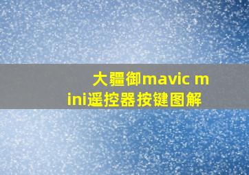 大疆御mavic mini遥控器按键图解